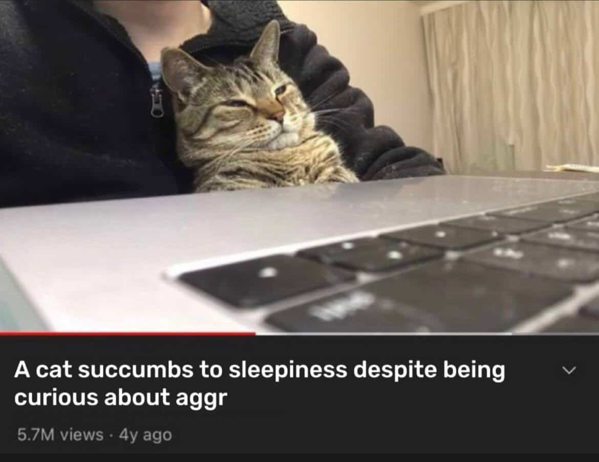 Kasper Vandeloock tweet media