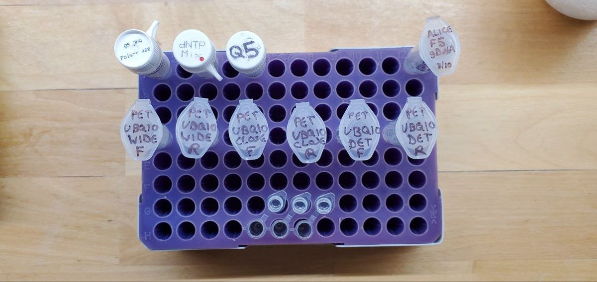 Sebastian S. Cocioba🪄🌷 tweet media