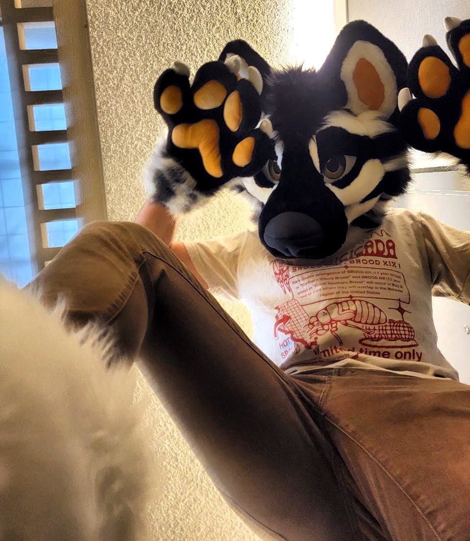 Tilly 🔜 FANG, LVFC, FWA tweet media