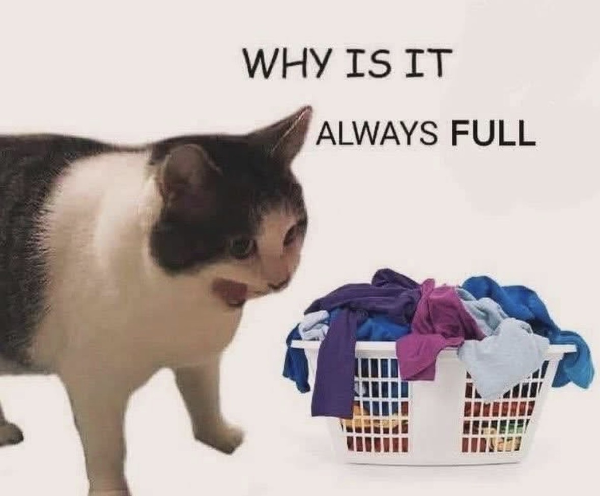 Respectful Memes (@respectfulmemes) on Twitter photo 