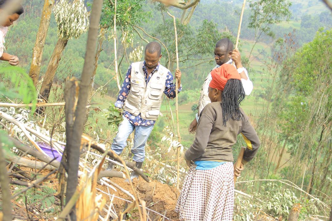 African CSOs Biodiversity Alliance tweet media