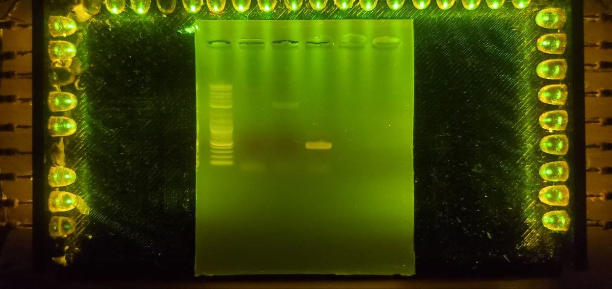 Sebastian S. Cocioba🪄🌷 tweet media