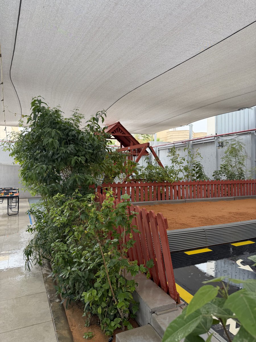 وجدان العمران 🎠 tweet media