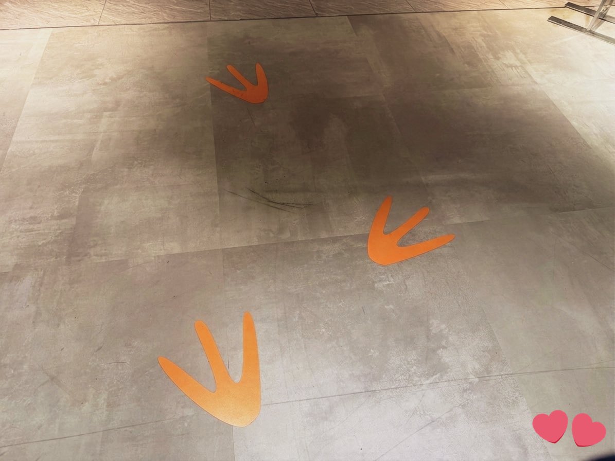 この空間がなくなることを想像してもう寂しい(｡•́︿•̀｡)

#LEEJUNHO
#FINDING_THE_PENPEN_IN_TOKYO
#03Collective #03CLTV
#사운드웨이브