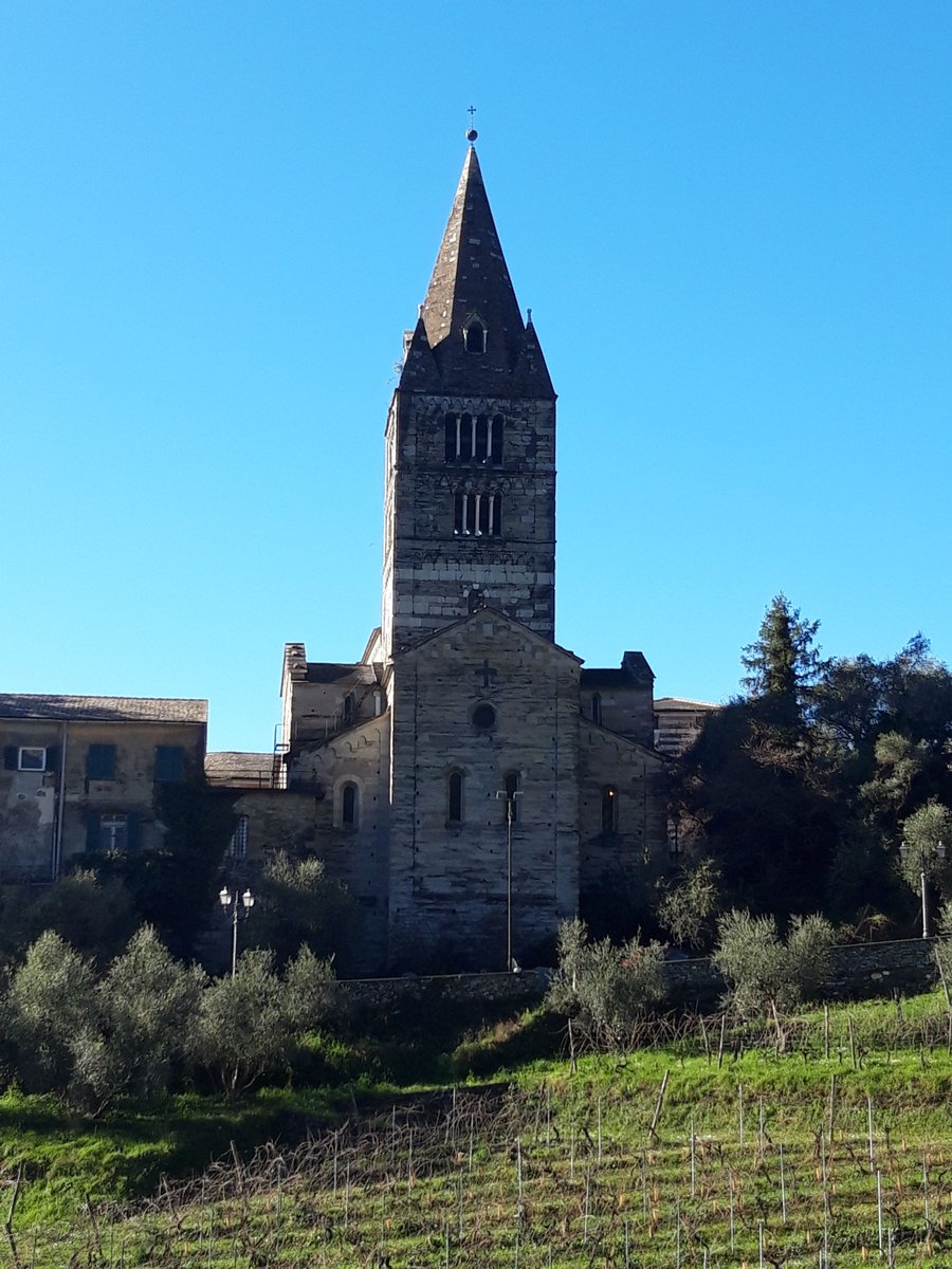 FreyaIngva's tweet image. I love #exploring. #Discovering new places, meeting #people &amp;amp; seeing life from fresh #perspectives inspires me every day
Can’t travel but need clarity? Get in touch for a #remotedowsing session to find your direction

#travelling #explorer #dowser #dowsing #tealeafreader #oracle