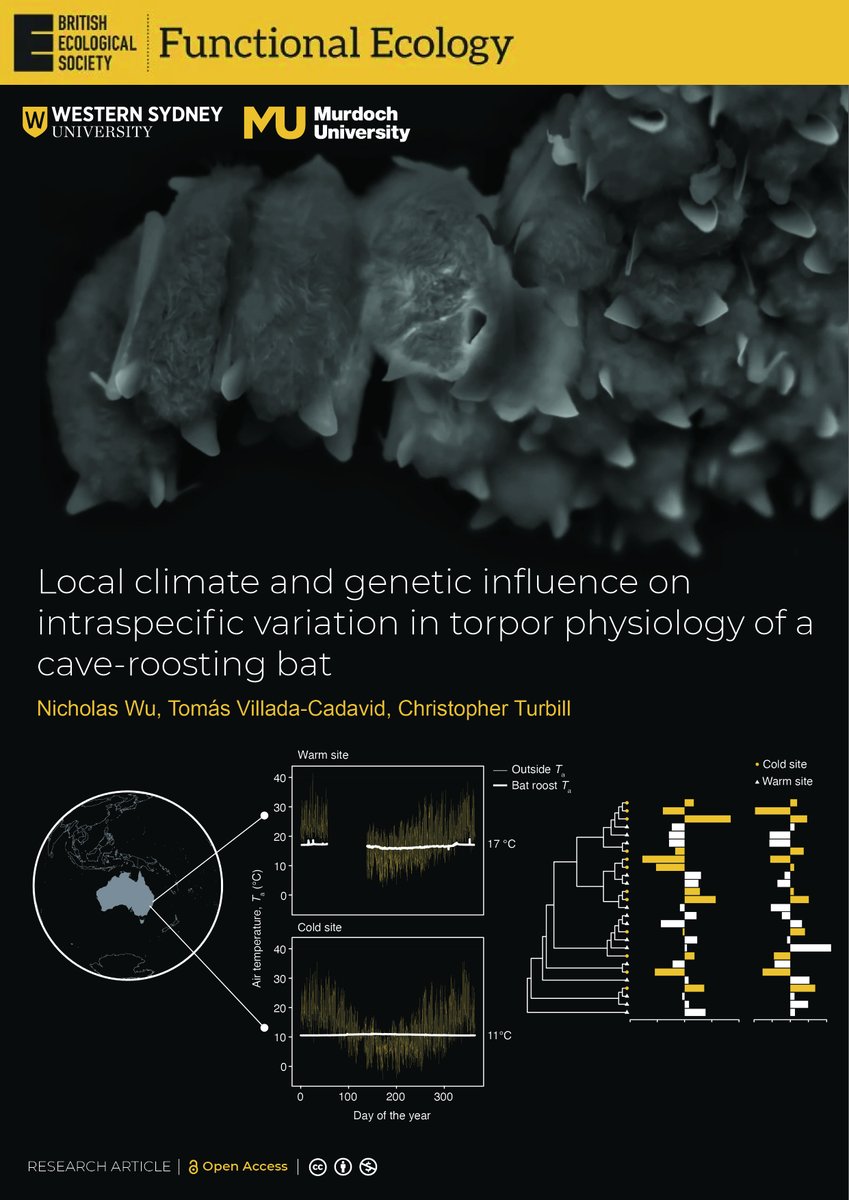 Nicholas Wu tweet media