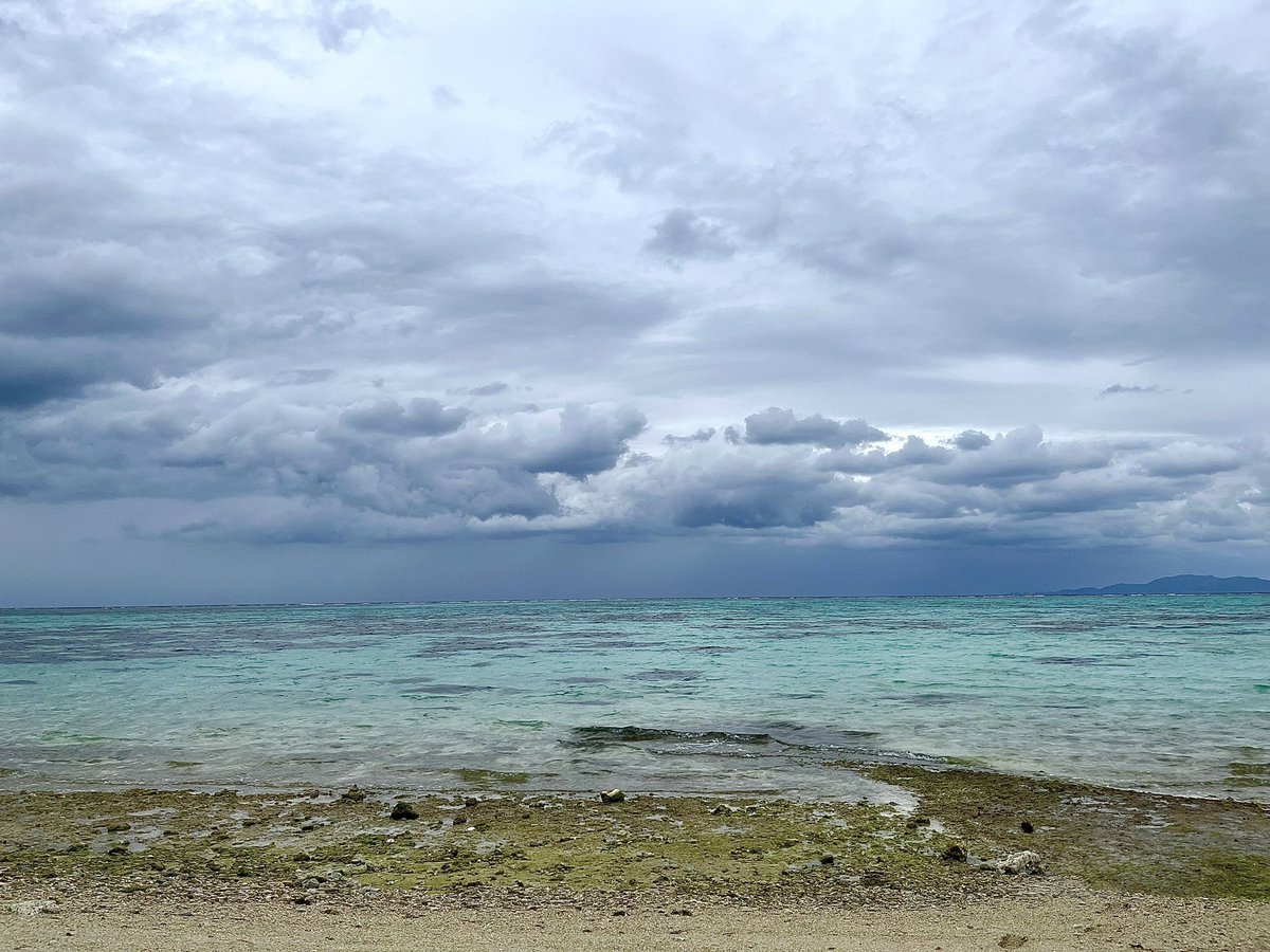 ゆりぺ🕊 tweet media