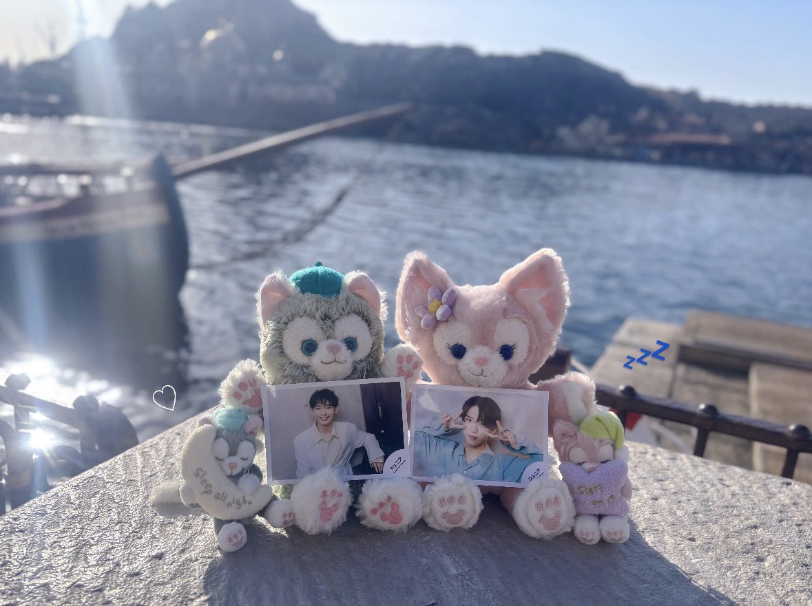 😼🩵 tweet media