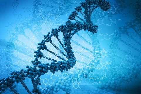 Alberto Saavedra tweet media