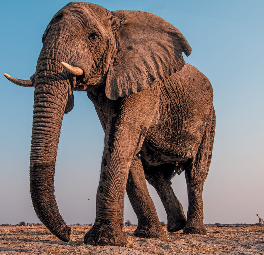 mOkapendi tweet media