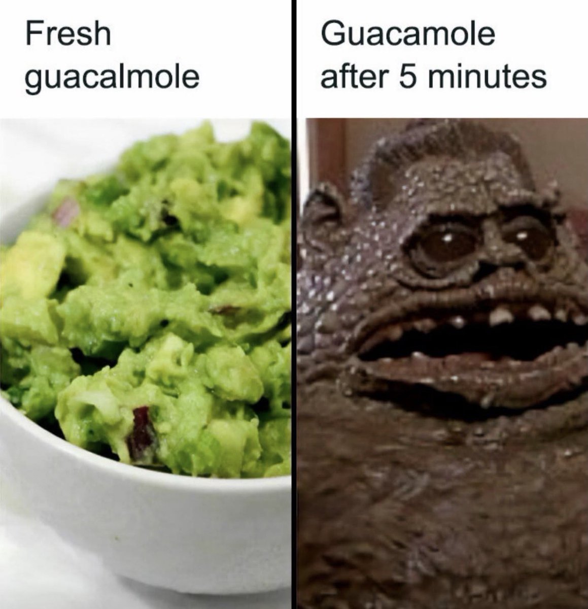 RespectfulMemes's tweet photo. https://t.co/pOqNXikyc6