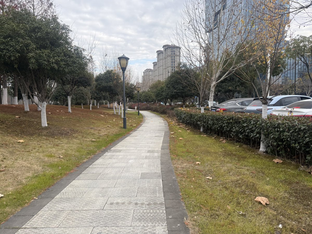 朗朗-朗朗社区 tweet media