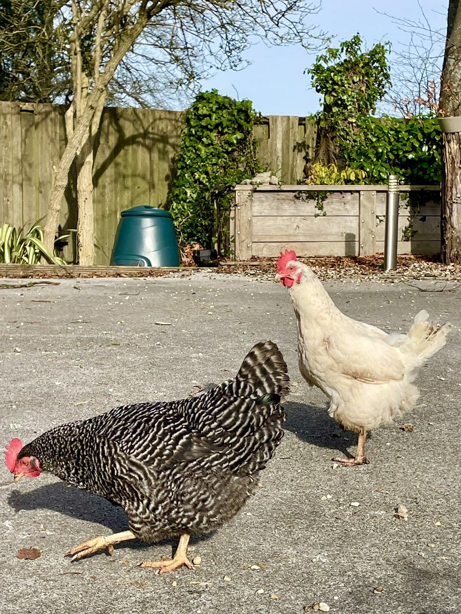 Stifyn Parri 🌈 tweet media