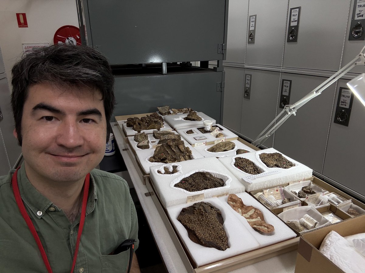 Pittman Palaeo Lab tweet media