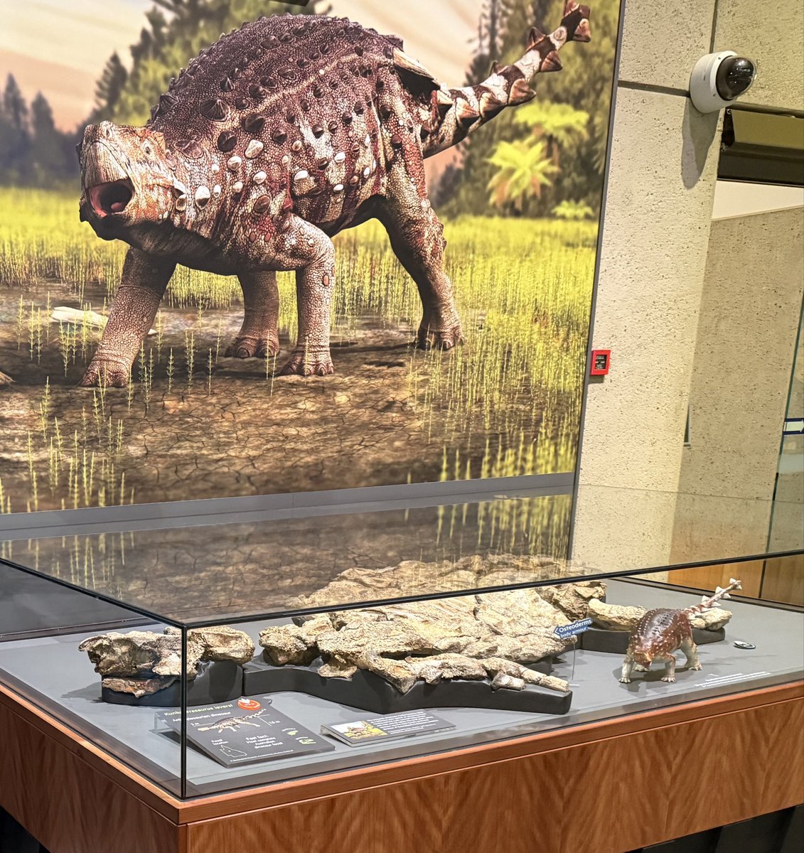 Pittman Palaeo Lab tweet media