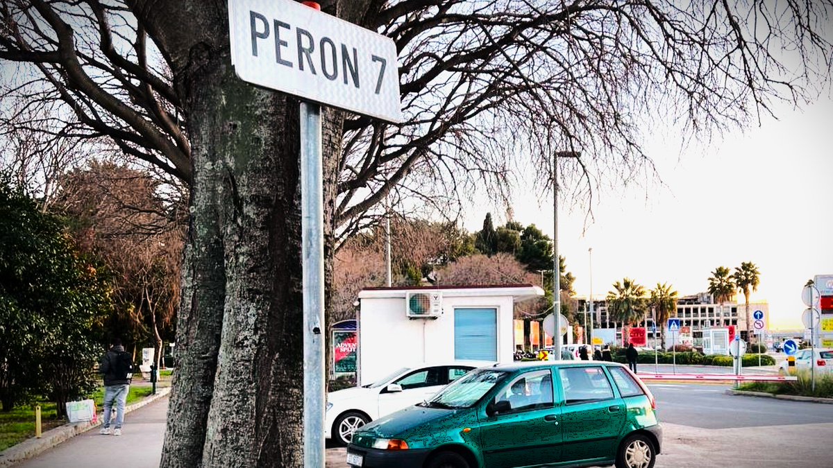 Fernando Ferrelli tweet media