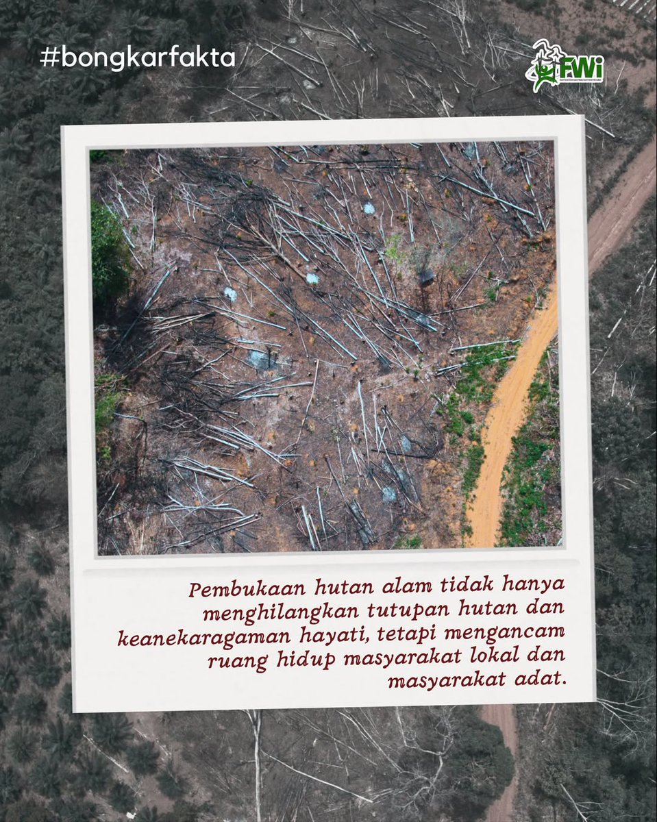 Forest Watch Indonesia tweet media