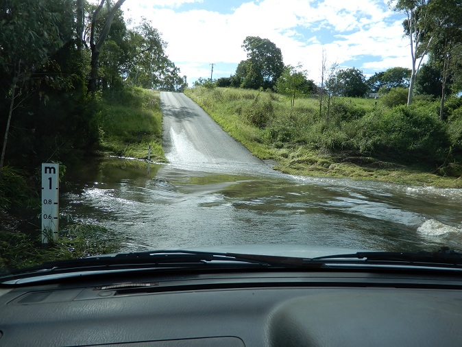 Manami.N tweet media