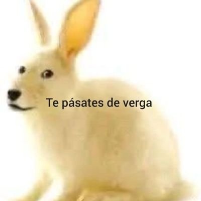 battle gray que apoya el lanzamiento de SBR real tweet media