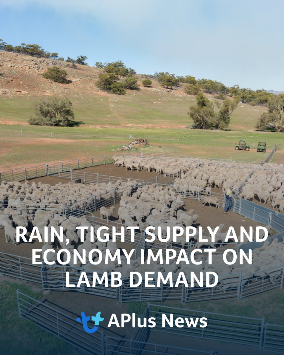 AuctionsPlus tweet media