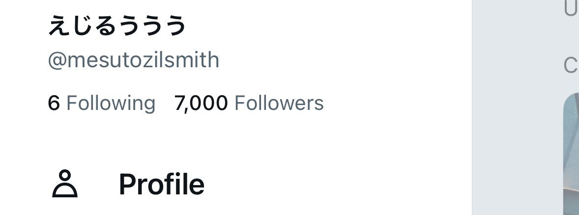 えじるううう tweet media