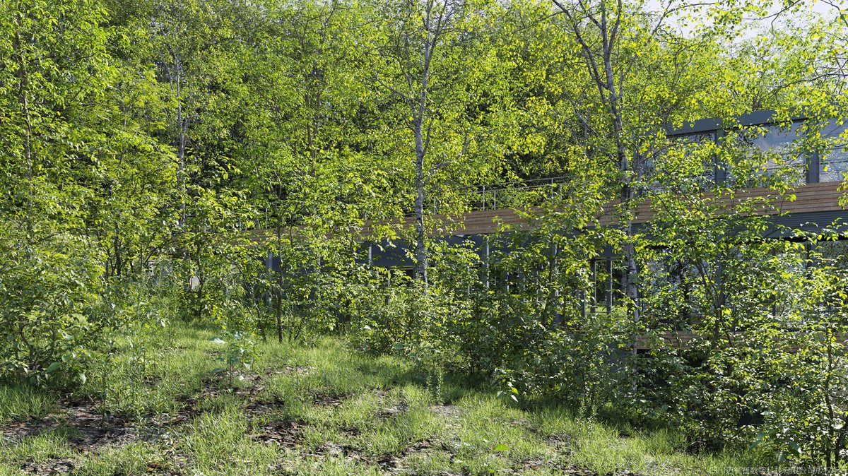 Maxtree tweet media