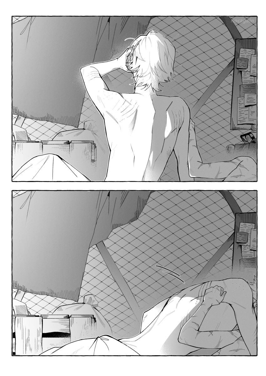 Nocaverse⚡️ tweet media