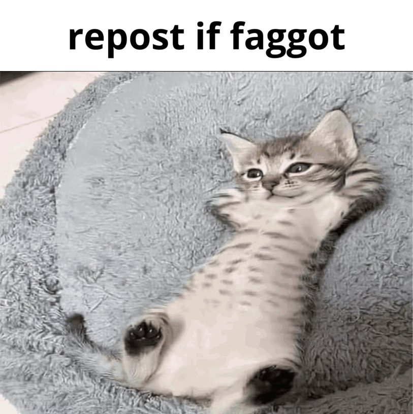 Mau 🐾 (COMMS CLOSED) tweet media