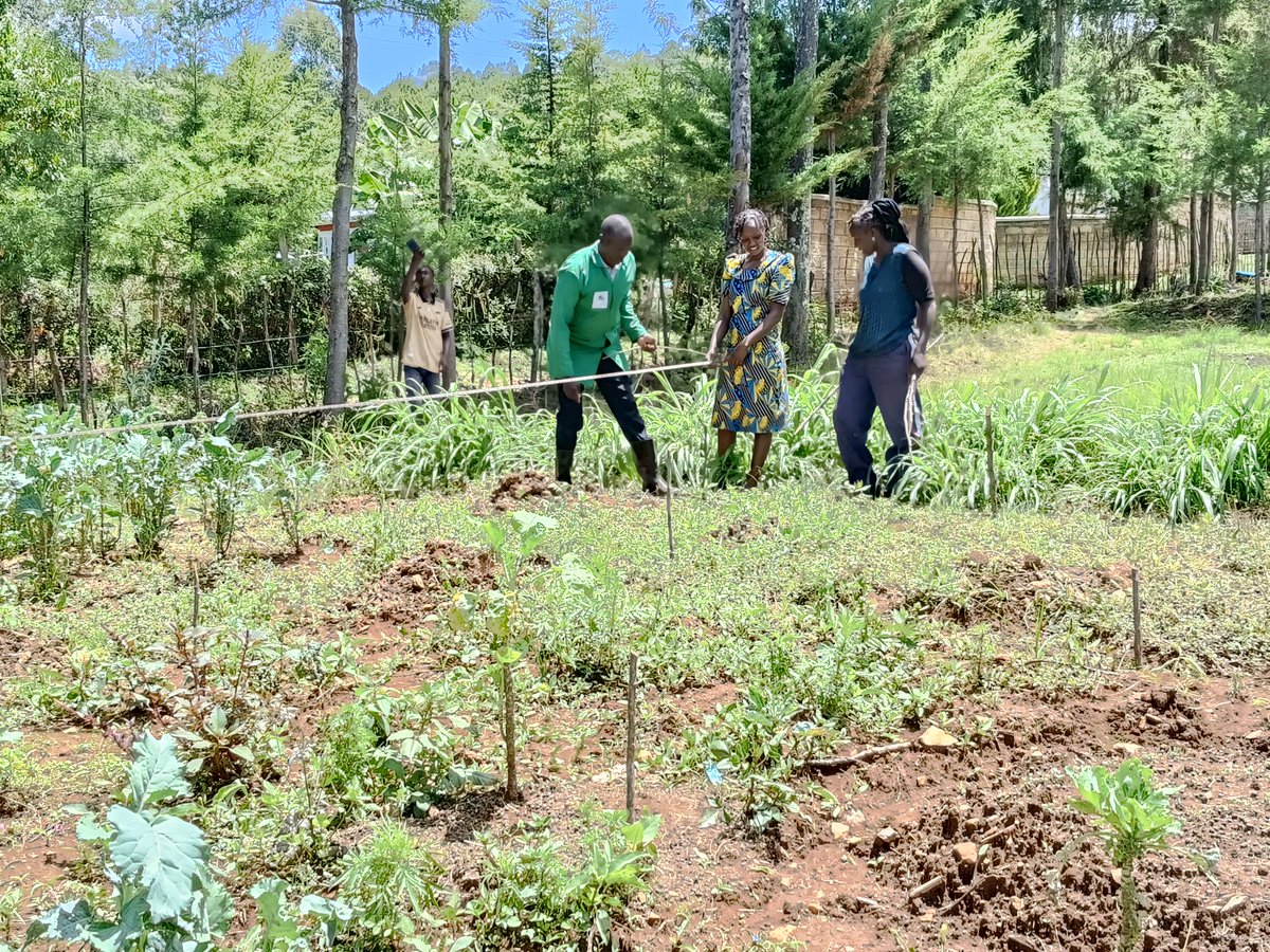 3E_Africa tweet media