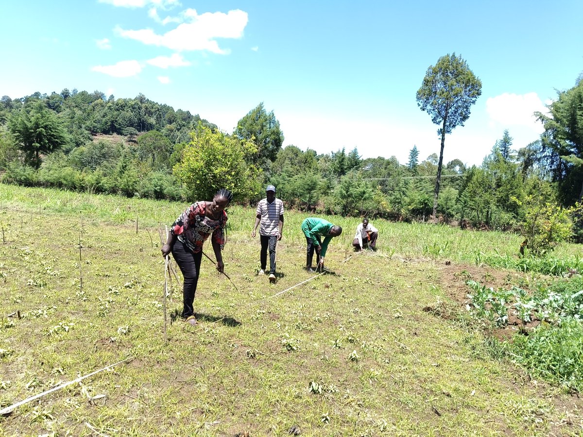 3E_Africa tweet media