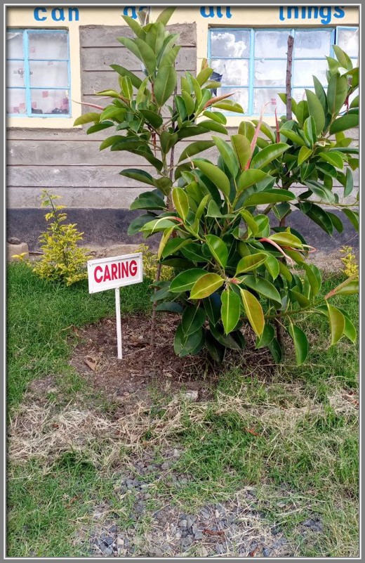 Centre for Character and Leadership tweet media