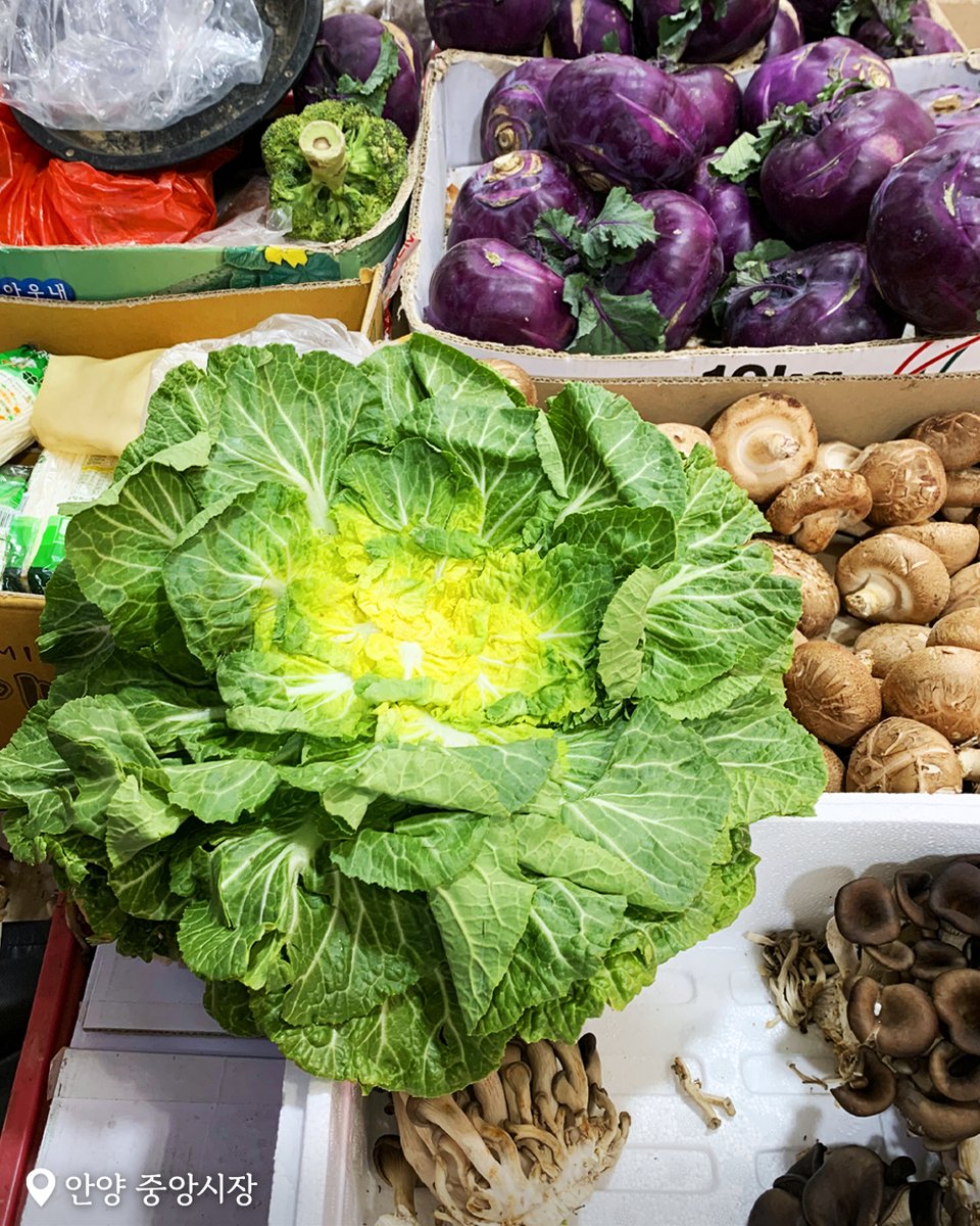 경기도 tweet media