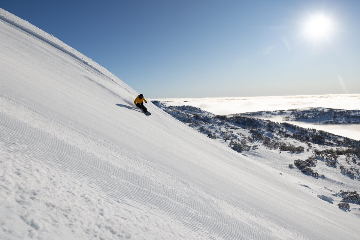 Perisher tweet media