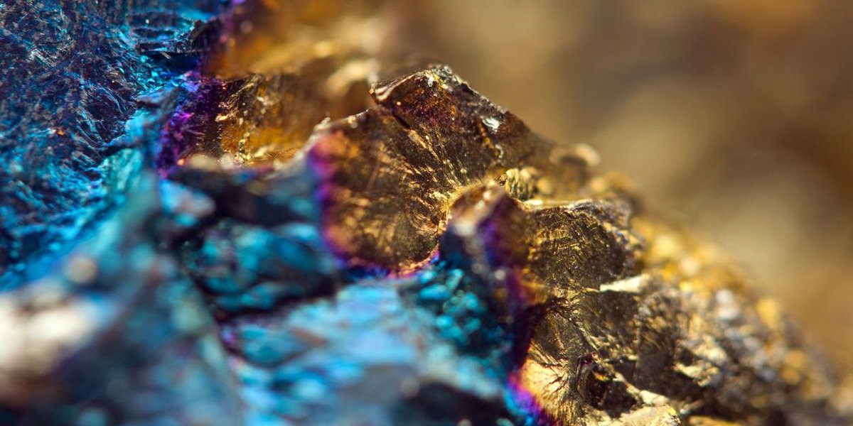 Tostrams.nl | IEX tweet media