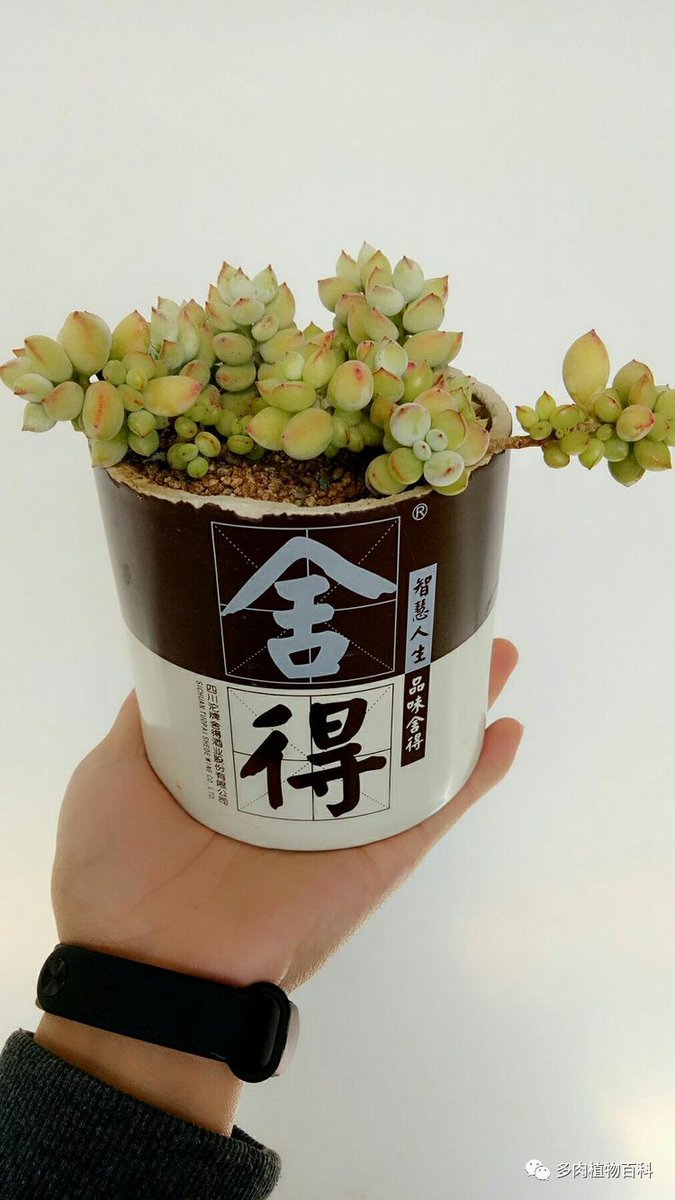 cameron axford tweet media