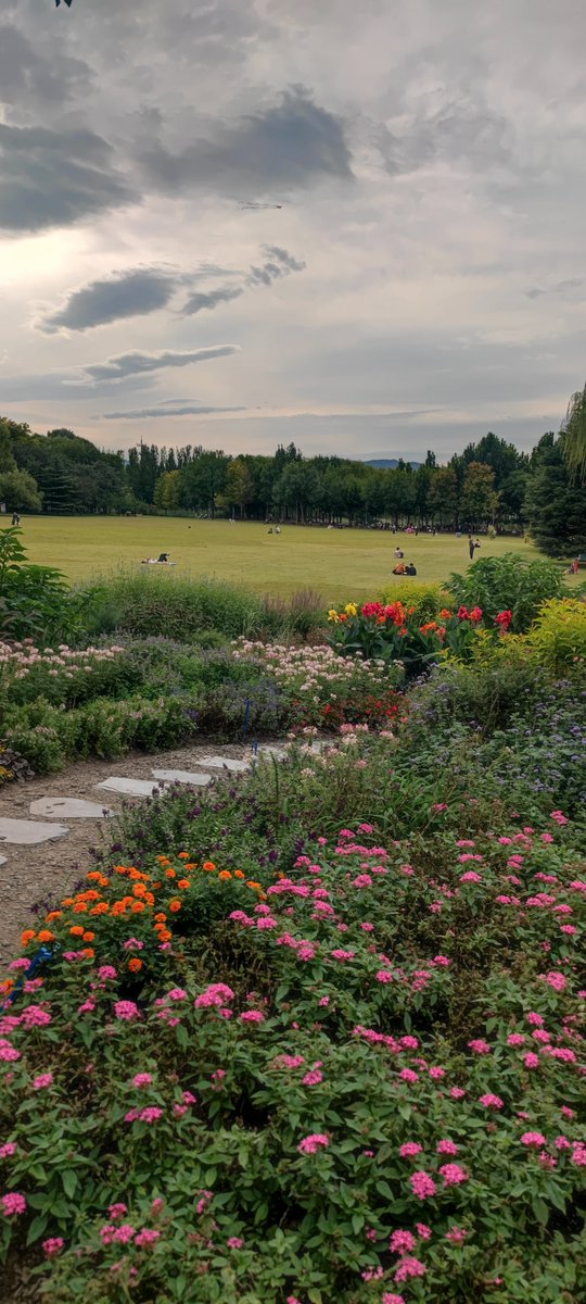 ircumeuJ tweet media