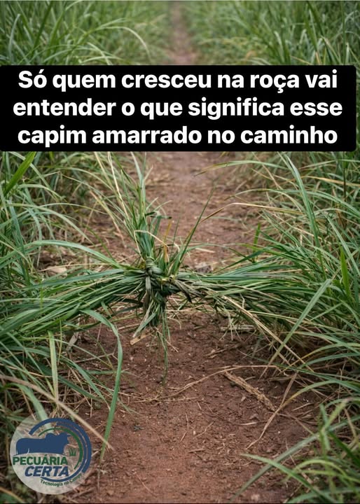 MilGrauNews tweet media