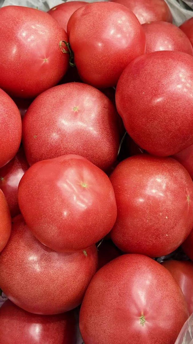 Rossally tweet media