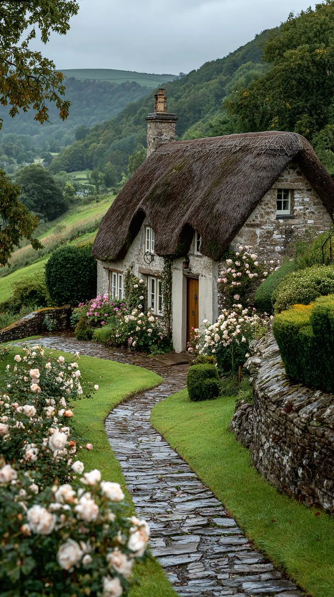 Beauty of Nature 🥀 tweet media