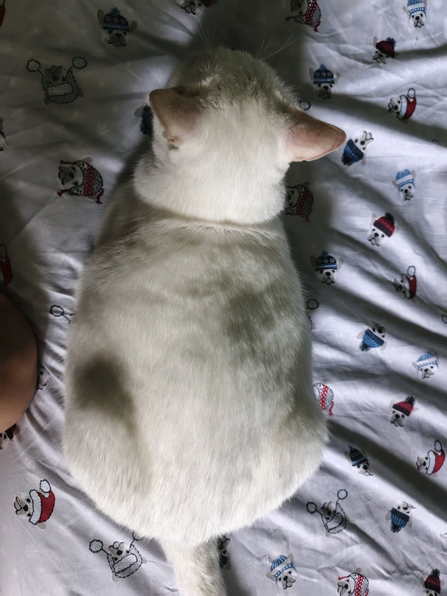 laine ۶ৎ tweet media