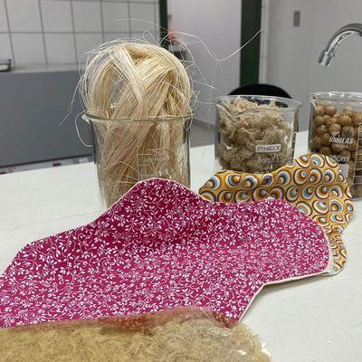 É DO BRASIL! Jovens desenvolvem absorvente biodegradável com custo de apenas R$ 0,02.

O produto foi criado por Camily e Laura com fibras de banana, açaí e resíduos agrícolas.