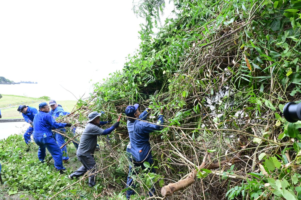 海上自衛隊　沖縄基地隊【公式】 tweet media