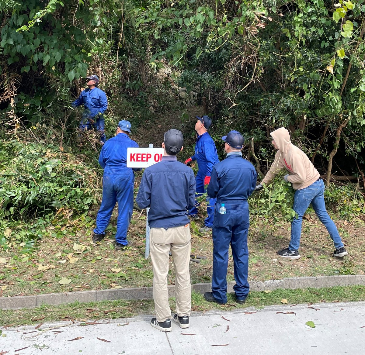 海上自衛隊　沖縄基地隊【公式】 tweet media