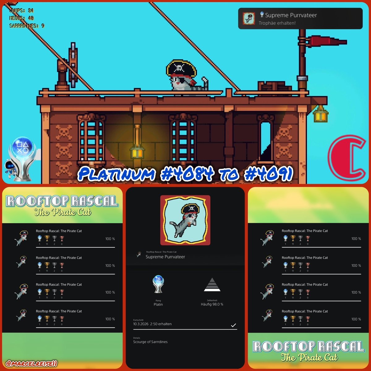 Marci‘s Life tweet media