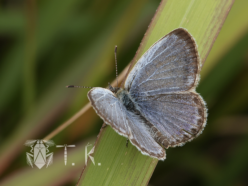 小松　貴 tweet media