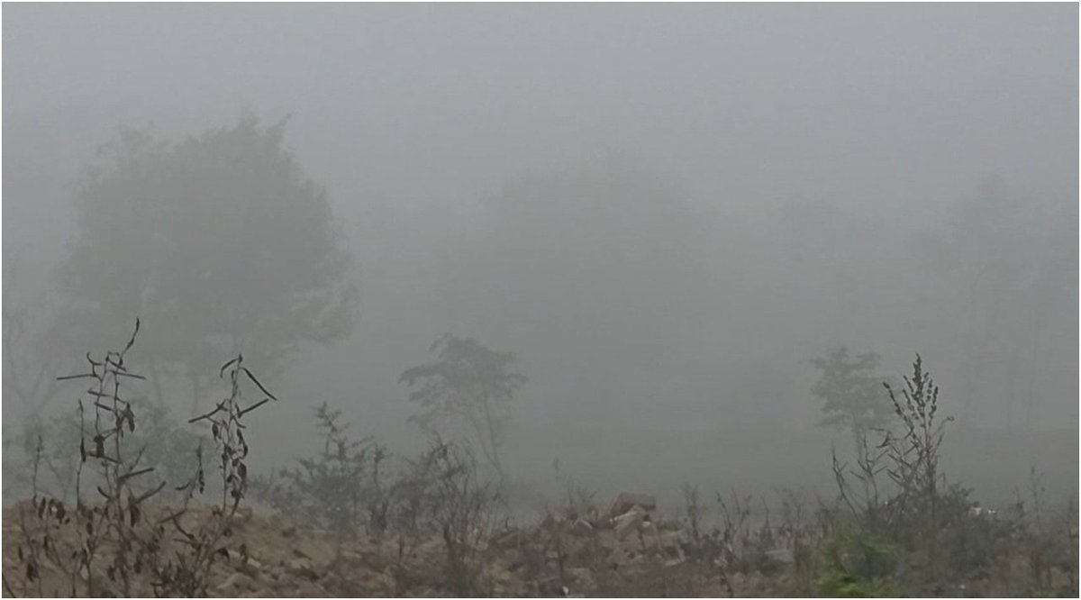 jmdnewsflash's tweet image. #UPWeather | कासगंज जनपद में मार्च के महीने में अचानक घना कोहरा छा गया। बेमौसम कोहरे से विजिबिलिटी कम हो गई और वाहनों की रफ्तार धीमी पड़ गई। तापमान में गिरावट दर्ज की गई, जिससे आम जनजीवन प्रभावित हुआ। किसानों को भी फसल नुकसान की चिंता है।

#Kasganj #FogAlert #BreakingNews