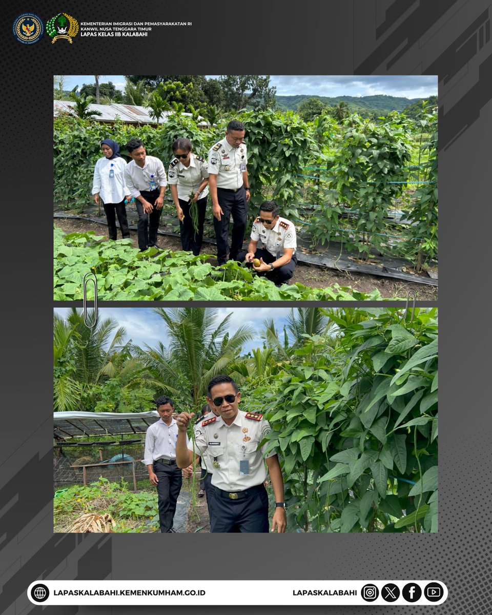 LapasKalabahi's tweet image. Program Kemandirian Berbuah Hasil, Warga Binaan Lapas Kalabahi Panen Sayuran Bersama

Selengkapnya:
lapaskalabahi18.blogspot.com/2026/03/progra…

#LapasKalabahi
#Kemenimipas
#AlwaysTheBest
~ KanwilDitjenpasNTT
