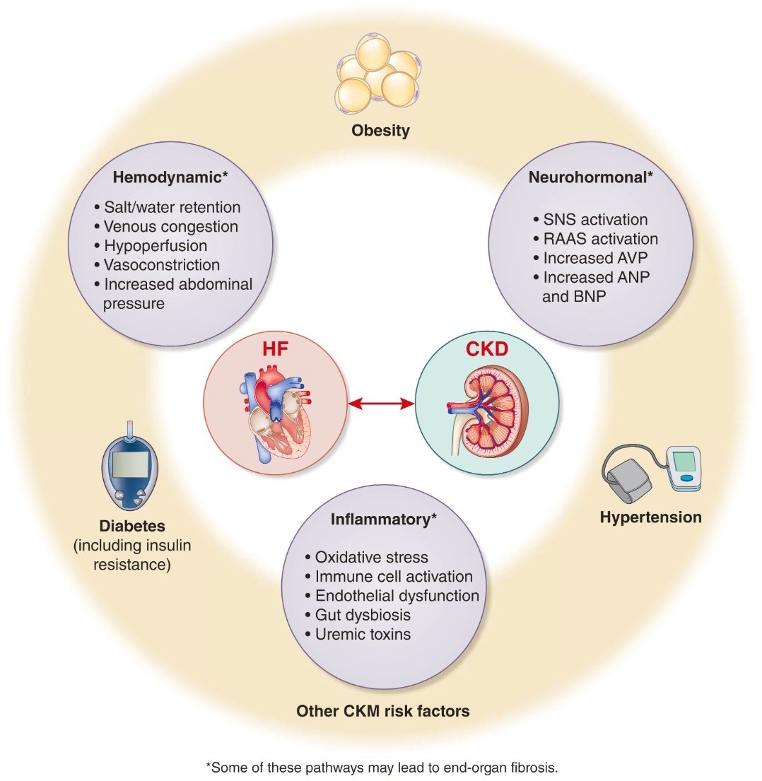 Miguel A. Maria. Medico de Familia. #embajadorSEEN tweet media
