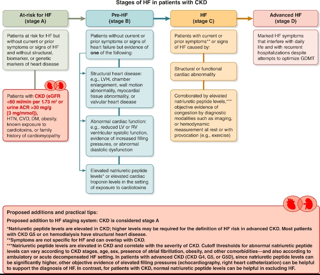 Miguel A. Maria. Medico de Familia. #embajadorSEEN tweet media