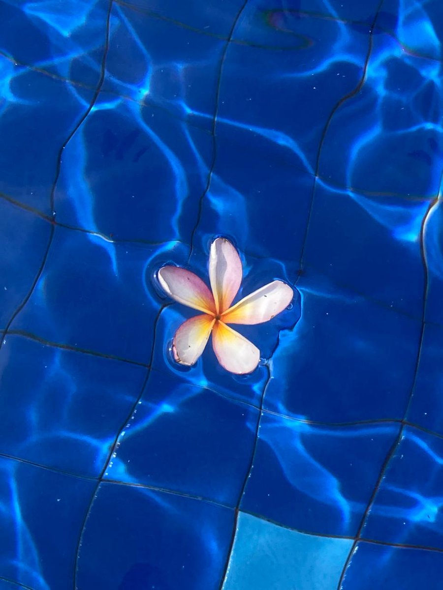 Nemuin bukti perselingkuhan dia jam 5 pagi, jam 6 nya aku tinggal renang di resort 😌